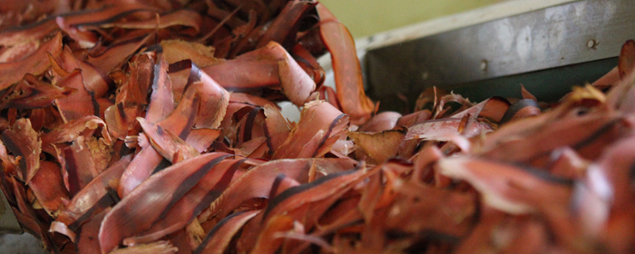 Thick shavings, perfect for aroma and flavor