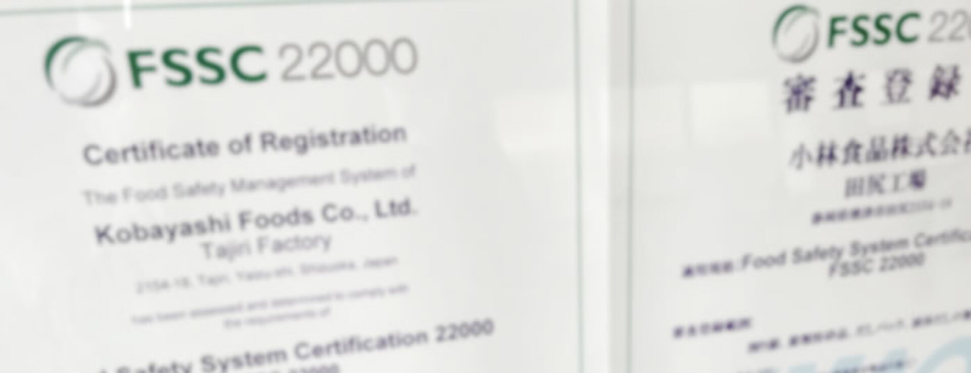 FSSC22000 certified
