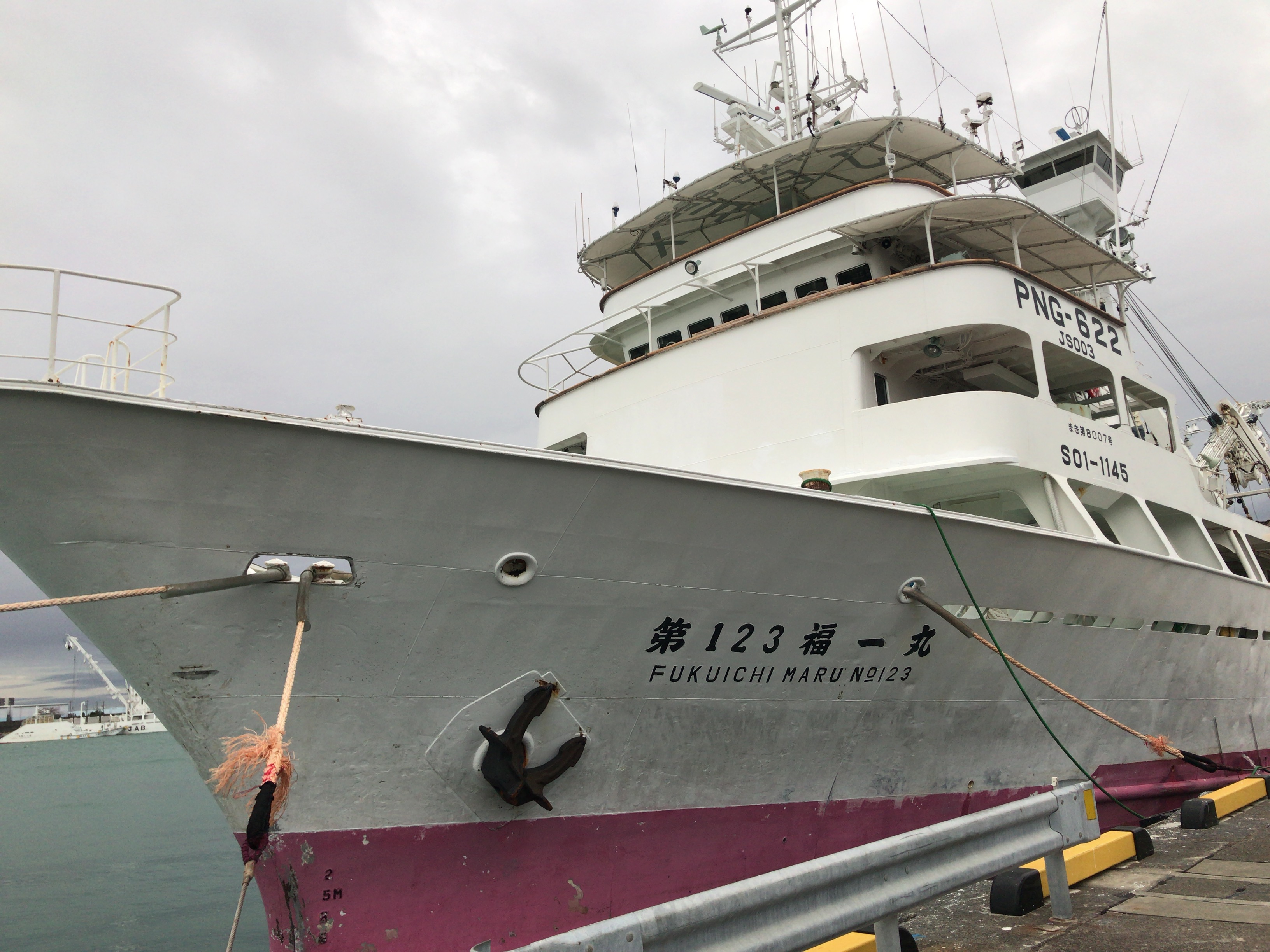 焼津港で水揚げをする海外まき網船