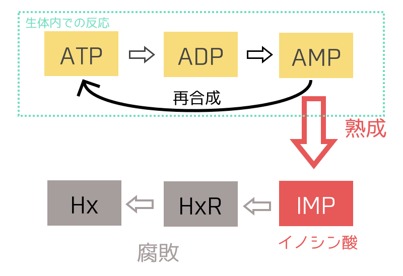 旨味とは 主要な５つの旨味成分と多く含まれている代表的な食材