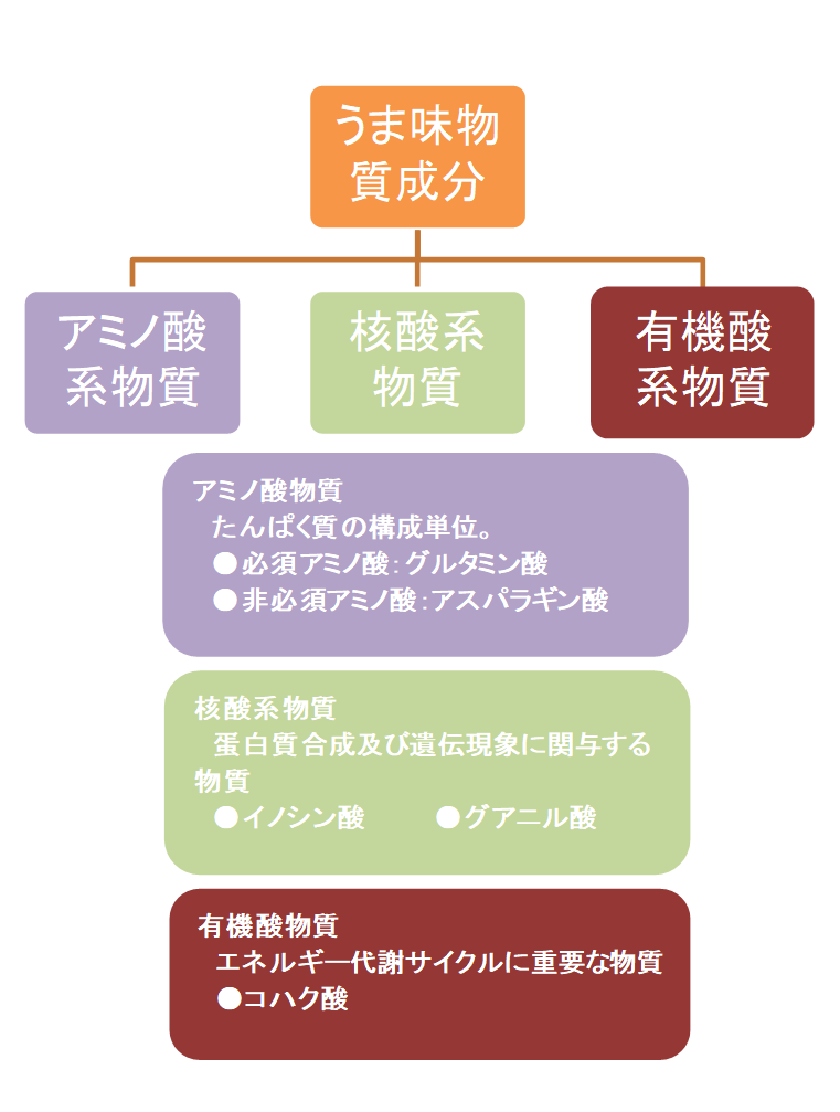 旨味とは 主要な５つの旨味成分と多く含まれている代表的な食材