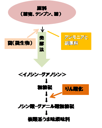 核酸うま味調味料製造プロセス