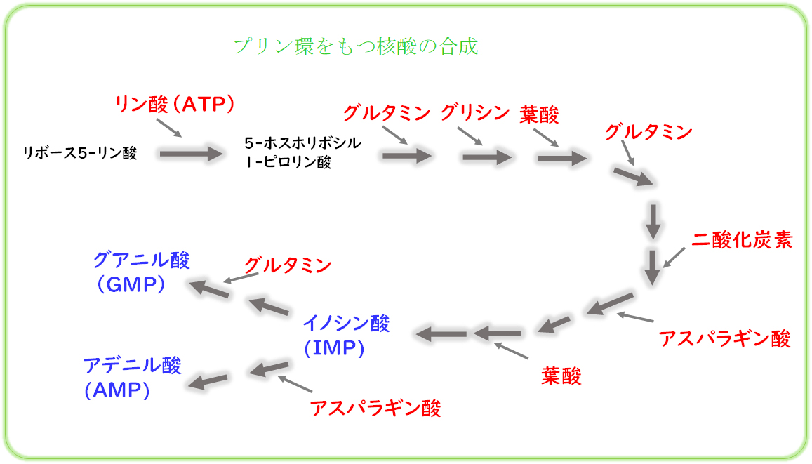 イノシン酸とは 鰹節に多く含まれているイノシン酸の生成メカニズム