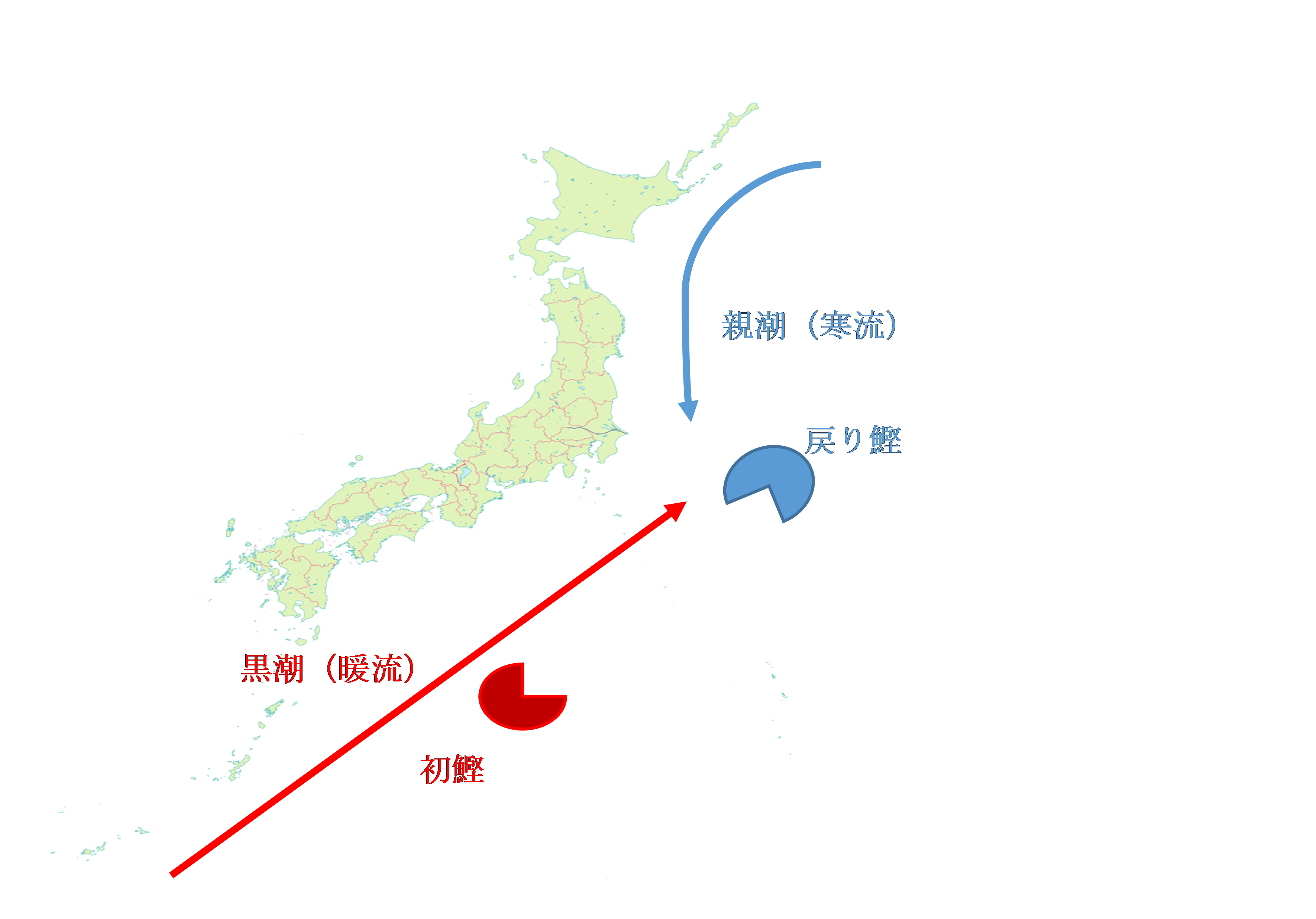 かつおの種類は４種類 それぞれの特徴と食べ方を徹底解説