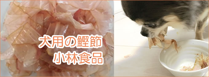 犬の飼い主が実感 犬に鰹節を与えて大丈夫な理由とメリット 注意点 犬の飼い主が実感 犬に鰹節を与えて大丈夫な理由とメリット 注意点