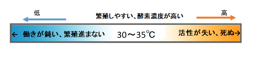 繁殖しやすい適正温度