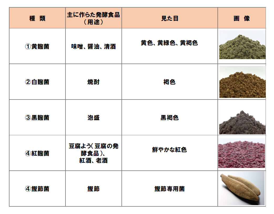 麹菌の種類一覧表